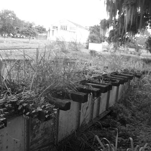 THE JOURNEY BEGINS. POLANCO MARCH 2013 CHART