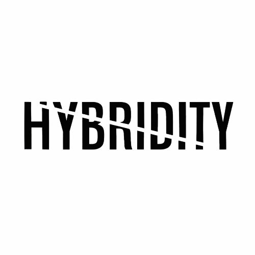 Hybridity Art
