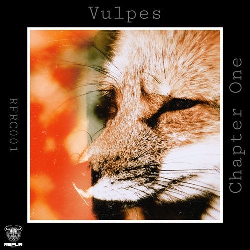 Cover art for Vulpes Chapter One