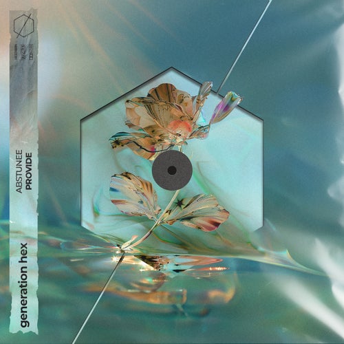 Provide - Extended Mix