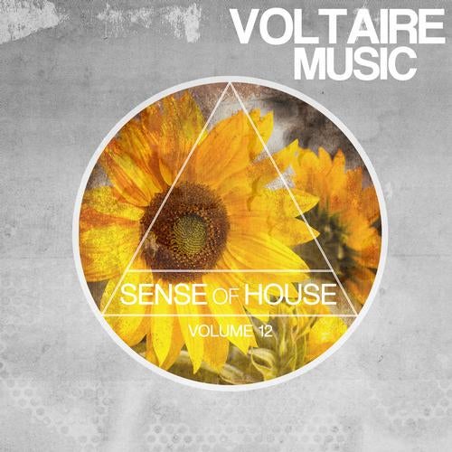 Sense Of House Vol. 12