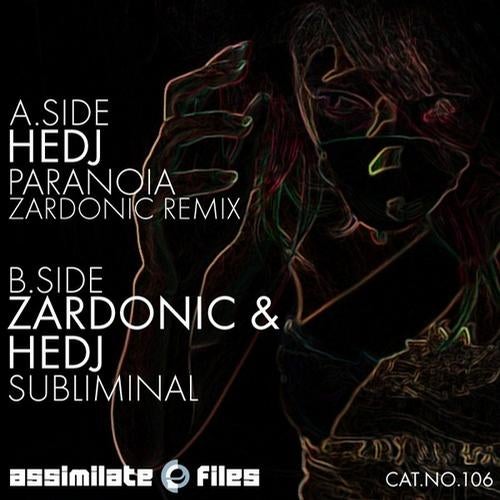 Subliminal / Paranoia (Remix)