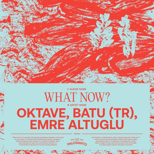 What Now?