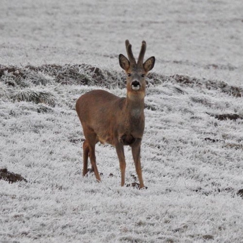 end of winter by Chris Beck