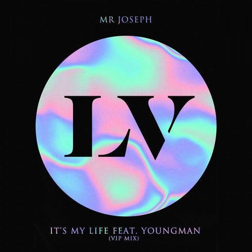 It's My Life (VIP Mix)