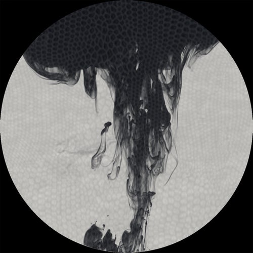Ciclo EP