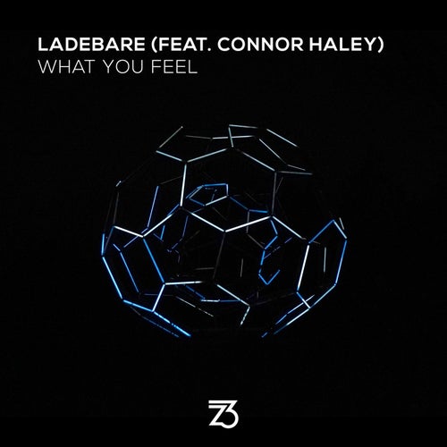 What You Feel