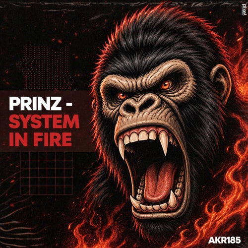 System In Fire 