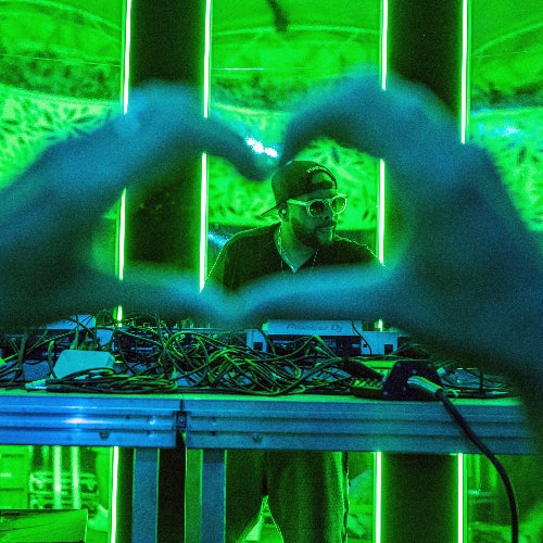Mr. V - Your Not Alone DJ Chart