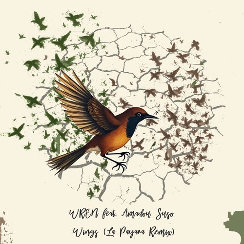 Wings (La Payara Remix)