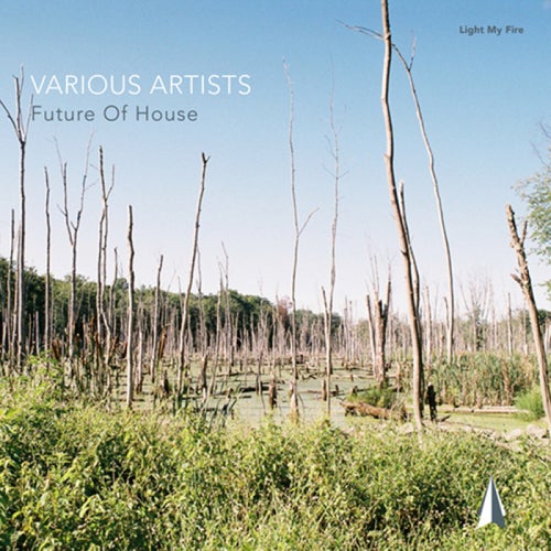 Future Of House