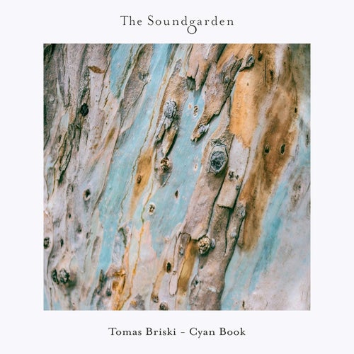  Tomas Briski - Cyan Book (2024) 