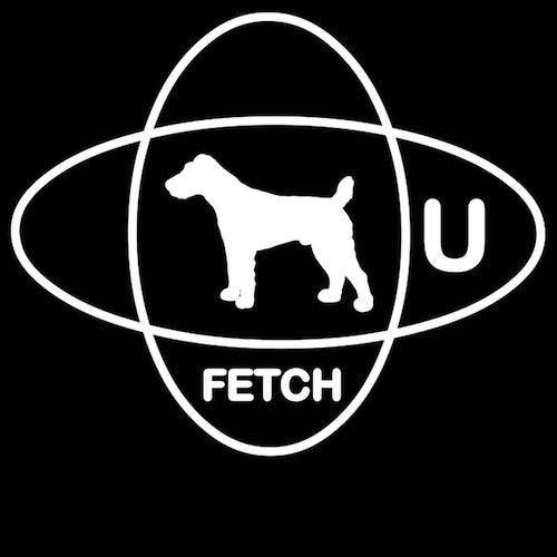 Fetch U Records