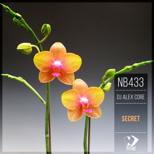 Secret