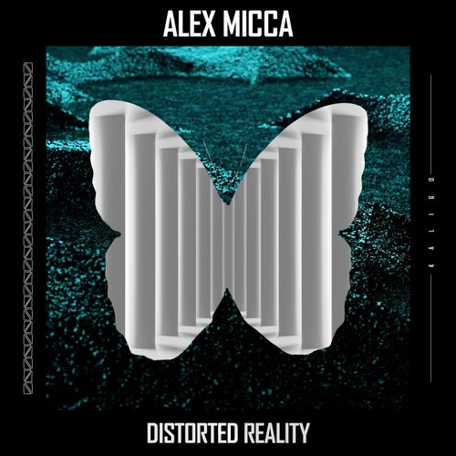 Distorted Reality