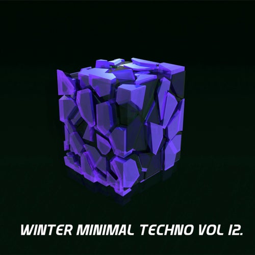 Winter Minimal Techno, Vol. 12.