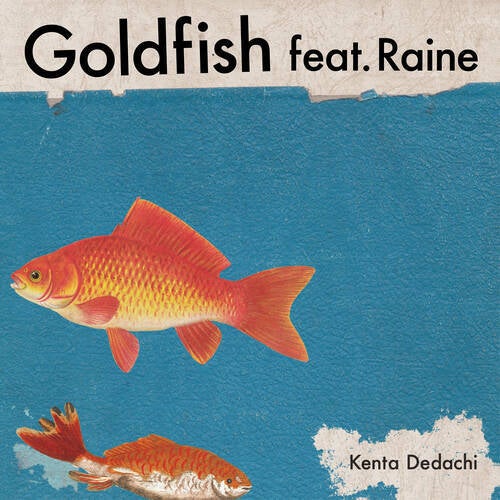 Goldfish