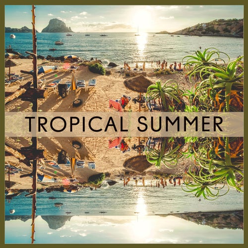 Tropical Summer