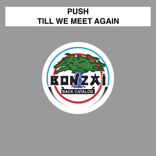 Cover art for Till We Meet Again
