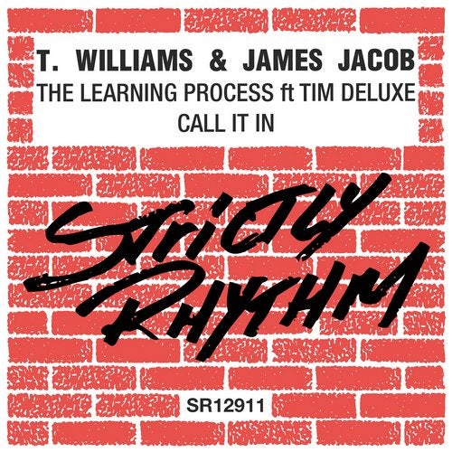 Cover art for The Learning Process / Call It In