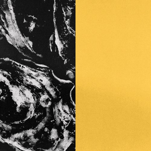 Cover art for HYS.K005.1