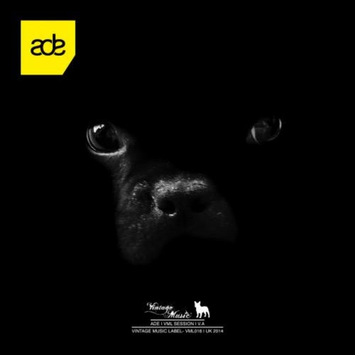 ADE | VML SESSION