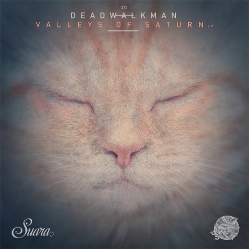 Valleys Of Saturn EP