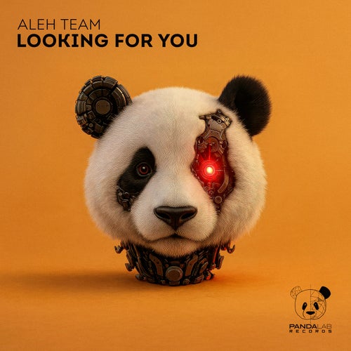 Looking for You
