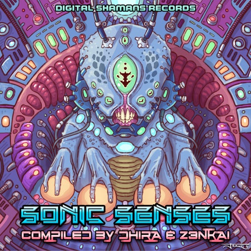 Sonic Senses - Compiled by Dhira & Z3nkai