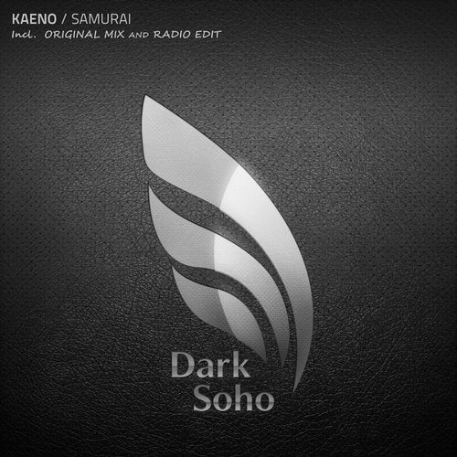 Cover art for Samurai