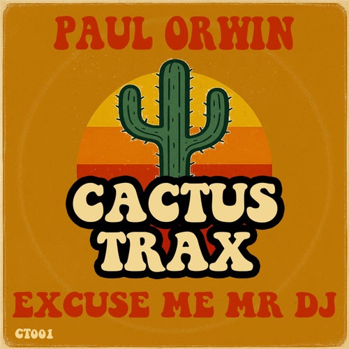 Excuse Me Mr DJ