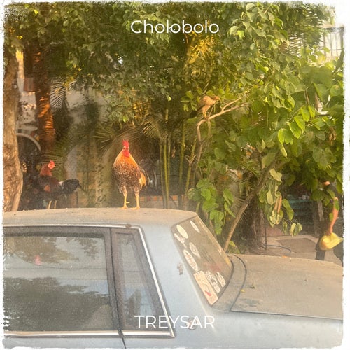 Cholobolo