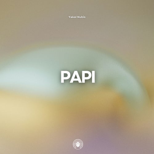 PAPI (Extended Mix)