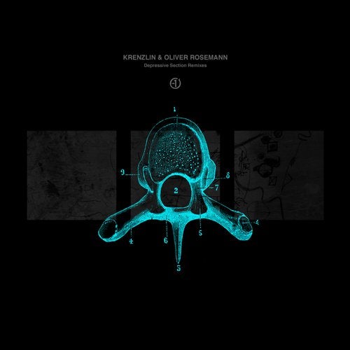 Cover art for Depressive Section Remixes