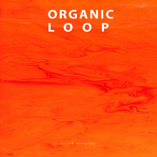 VA - Sound Shaping [Organic Loop]