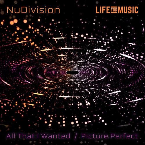 All That I Wanted / Picture Perfect