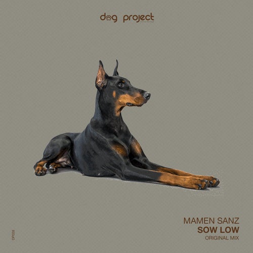 Sow Low