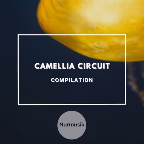 Cover art for Camellia Circuit