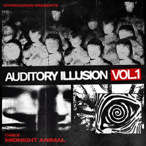Midnight Animal