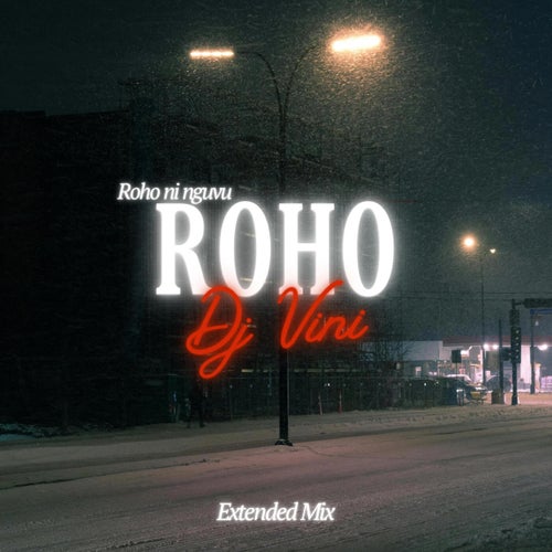 ROHO - AFRO HOUSE (Extended Mix)