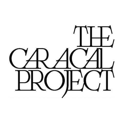 The Caracal Project