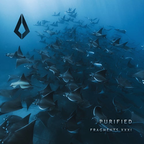 Purified Fragments XXXI