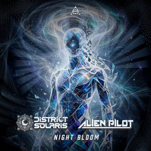 Night Bloom