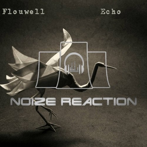 Cover art for Echo