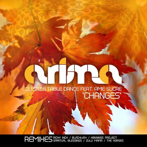 Cover art for Changes