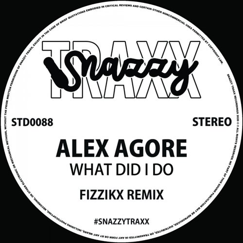 What Did I Do (Fizzikx Remix)