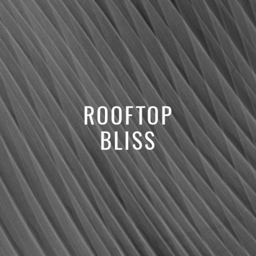 Rooftop Bliss