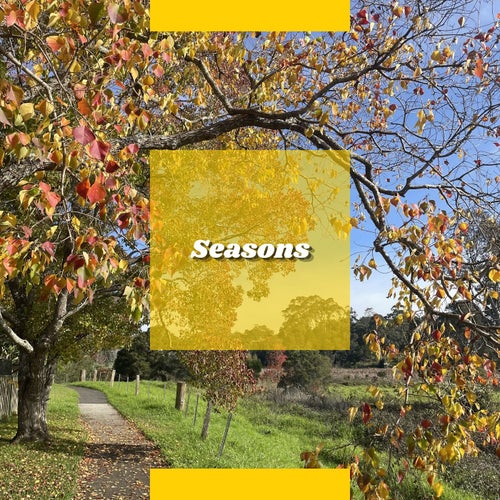 Kelzy — Seasons (2026)