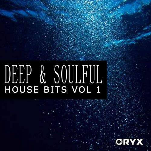 Deep & Soulful House Bits Vol 1