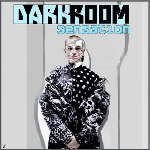 Darkroom Sensation (Best Selection of House and Tech House Tracks)